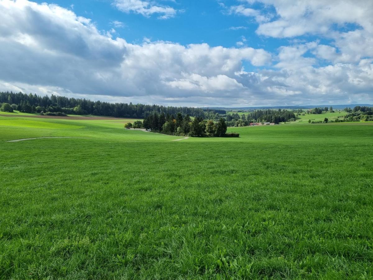 Schoene 2-Zimmer Ferienwohnung Loffingen Bagian luar foto